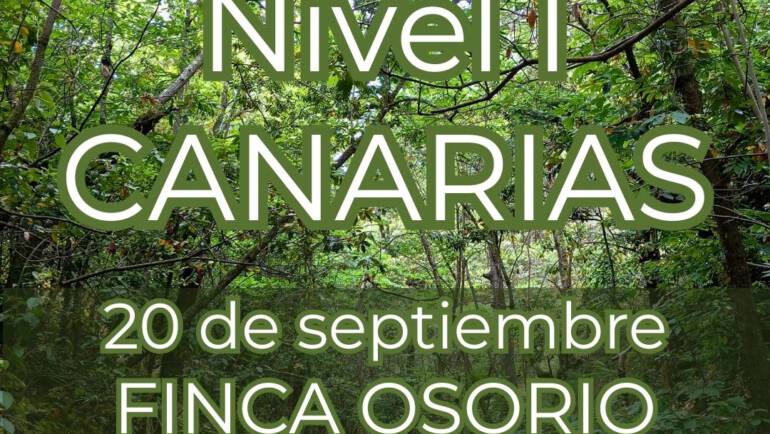 Formación Sharing Nature · Flow Learning™ – Nivel I: Introducción vivencial a la conexión profunda con la naturaleza (Finca Osorio, Gran Canaria)